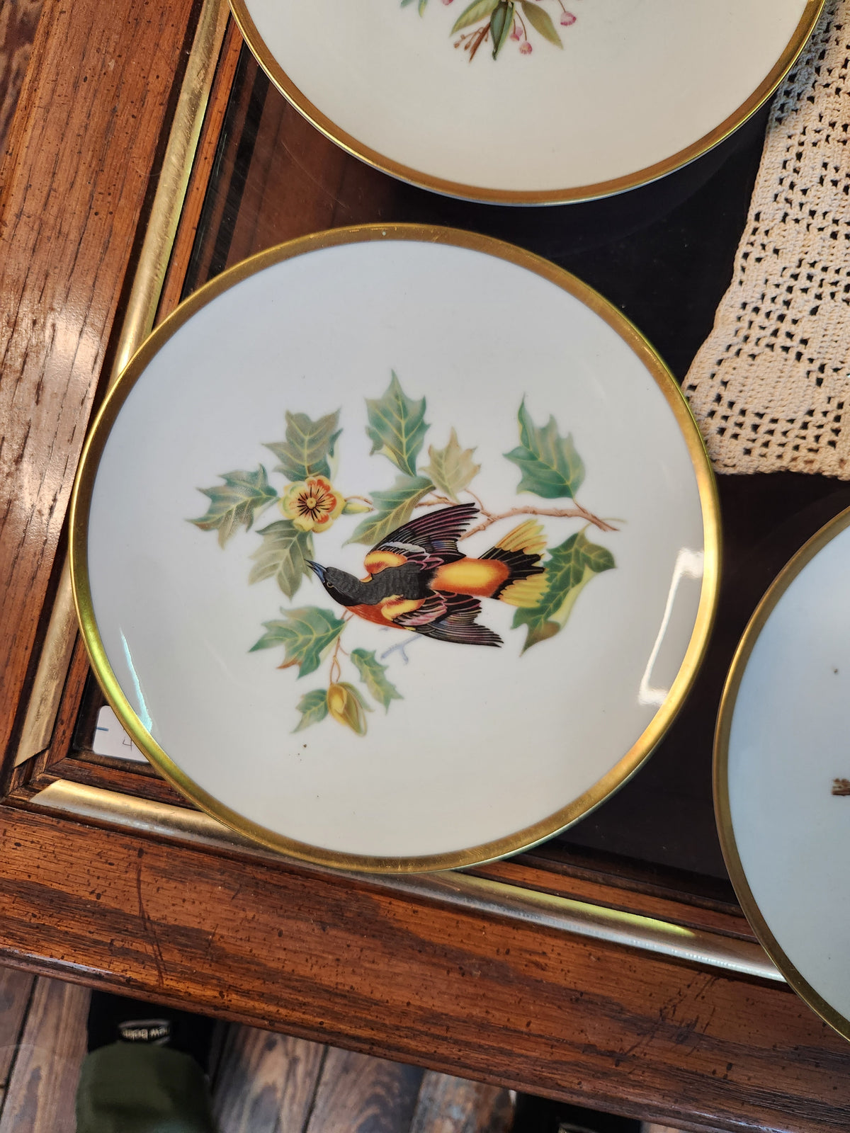 Vintage Hutschenreuther Pasco Germany Audubon Bird Plates