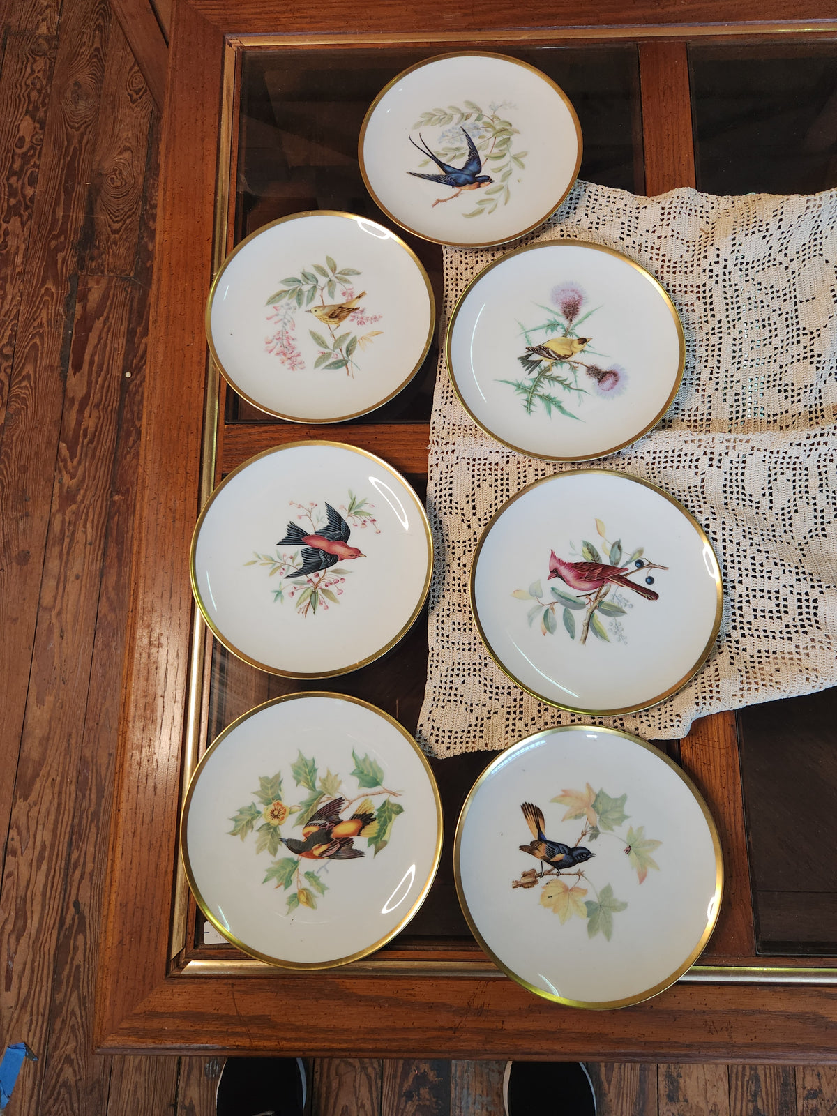 Vintage Hutschenreuther Pasco Germany Audubon Bird Plates