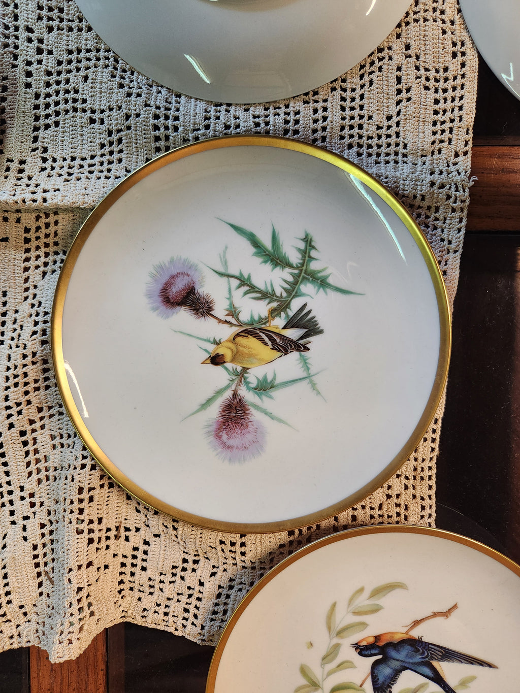 Vintage Hutschenreuther Pasco Germany Audubon Bird Plates