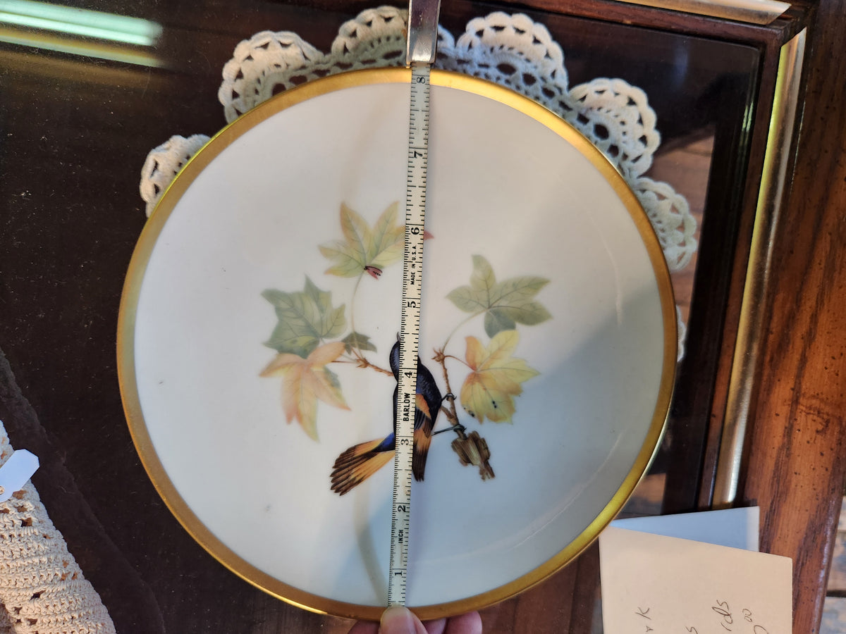 Vintage Hutschenreuther Pasco Germany Audubon Bird Plates