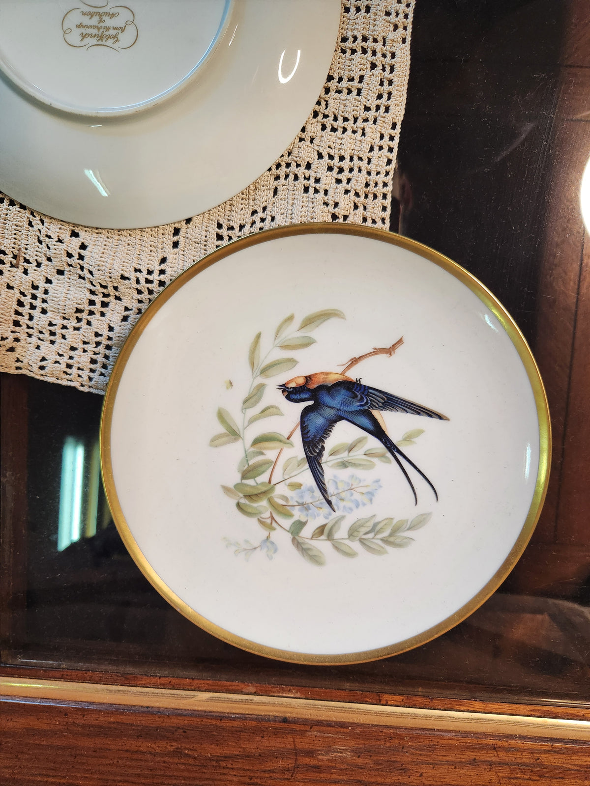 Vintage Hutschenreuther Pasco Germany Audubon Bird Plates