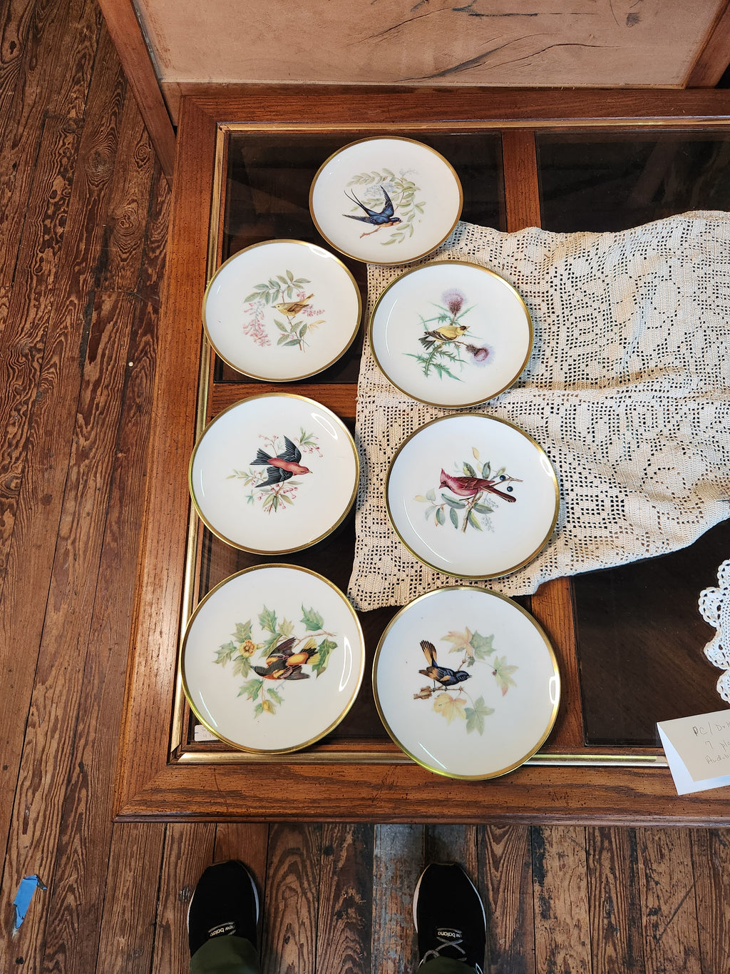 Vintage Hutschenreuther Pasco Germany Audubon Bird Plates