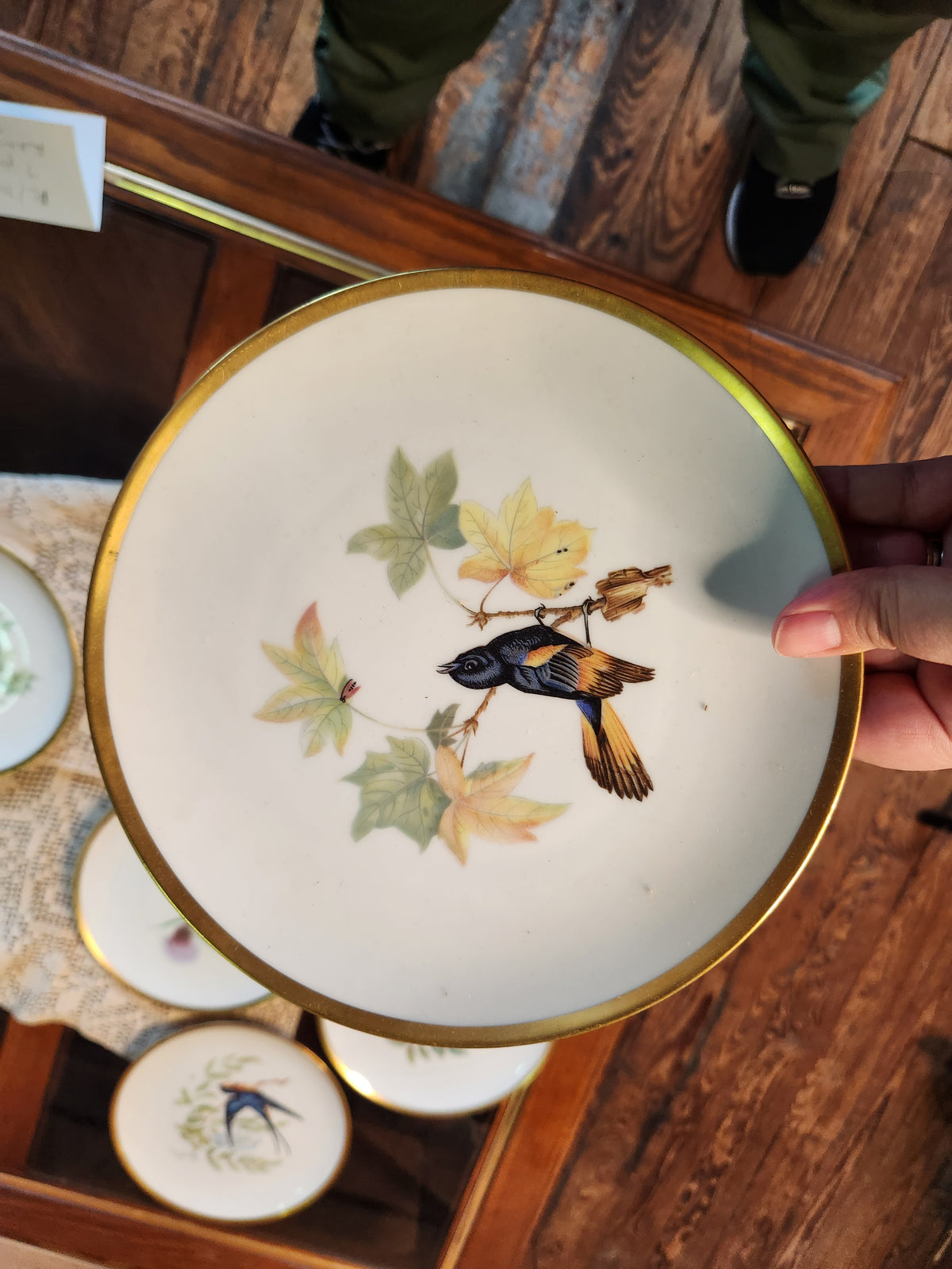 Vintage Hutschenreuther Pasco Germany Audubon Bird Plates