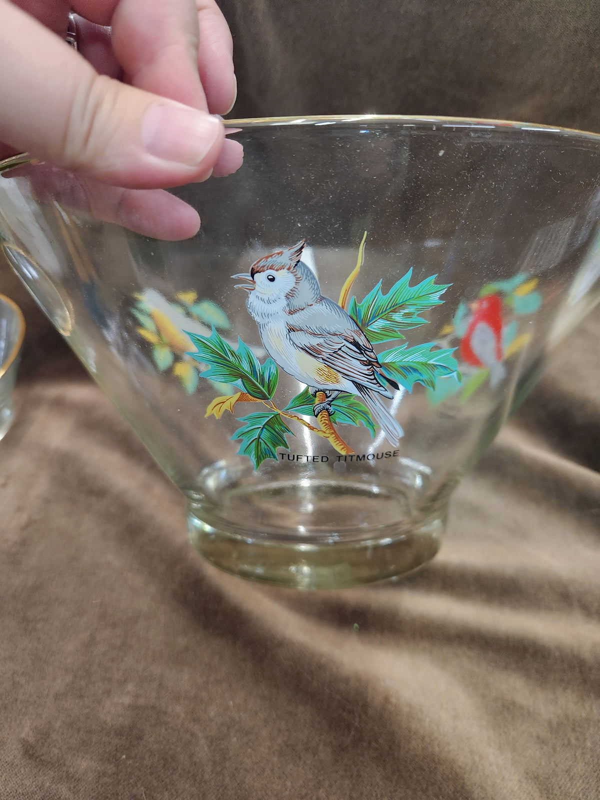 Vintage West Virginia Glass American Songbird Chip and Dip Bowl Set