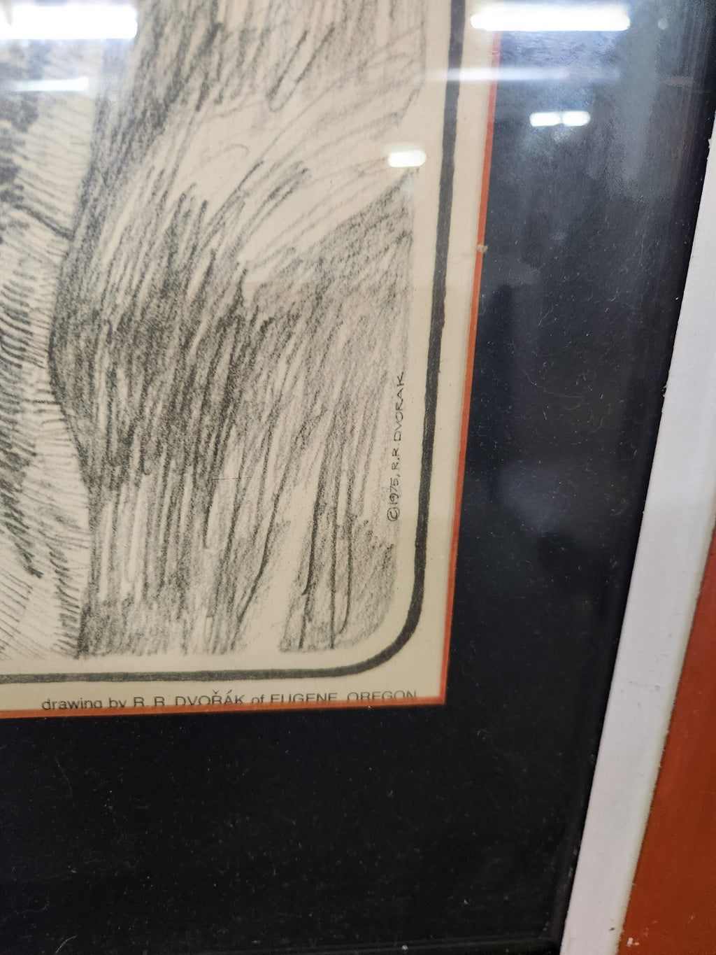 Vintage Framed Illusory Pen & Ink Tiger Poster Artwork Robert Regis Dvorak 1975