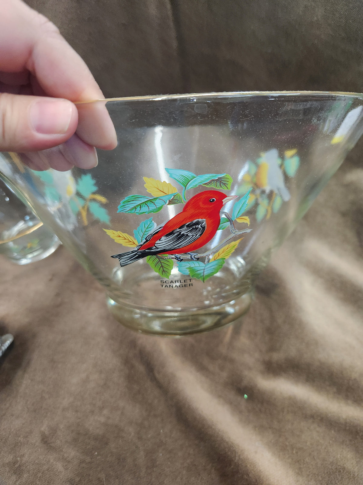 Vintage West Virginia Glass American Songbird Chip and Dip Bowl Set