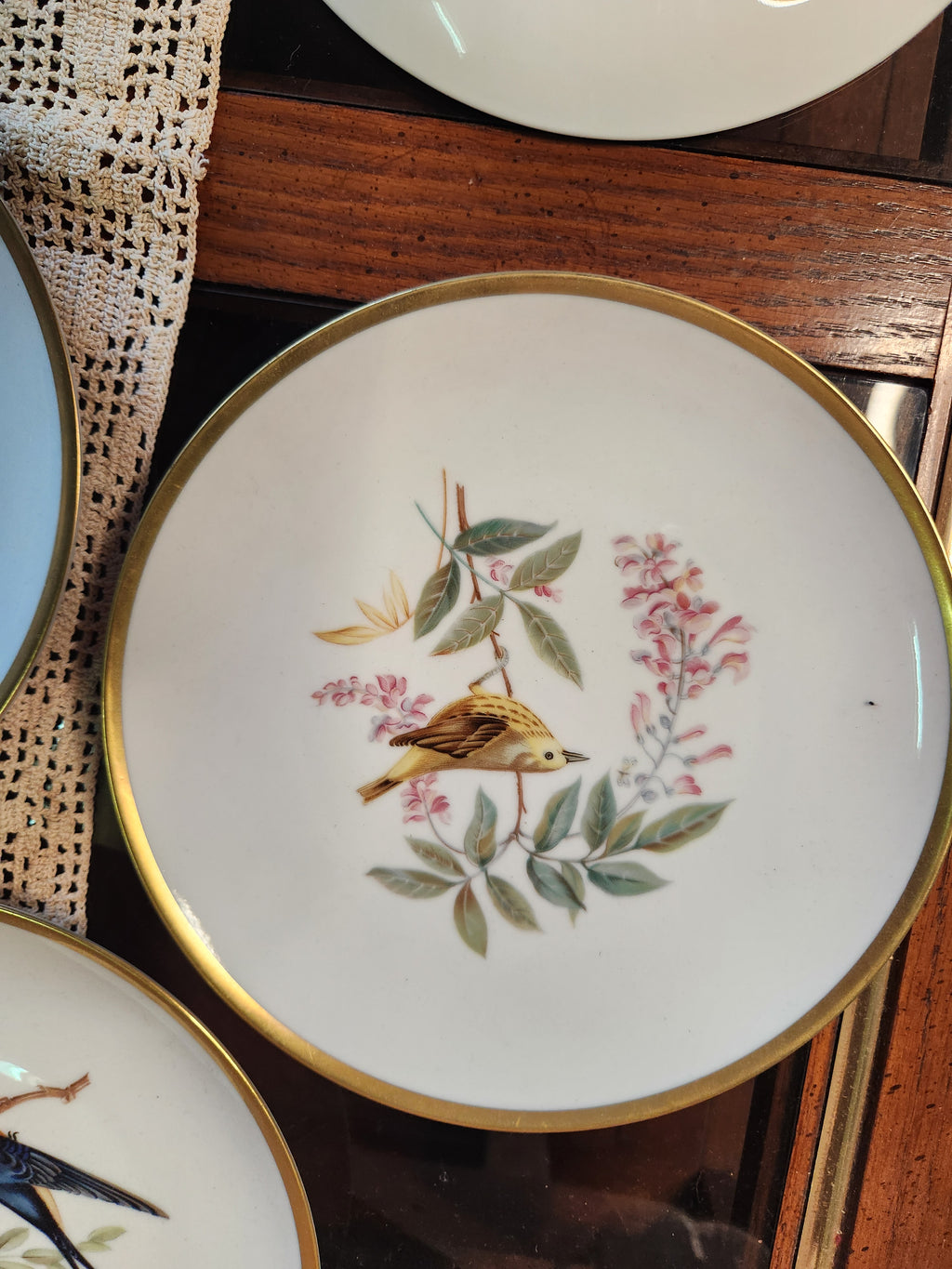 Vintage Hutschenreuther Pasco Germany Audubon Bird Plates