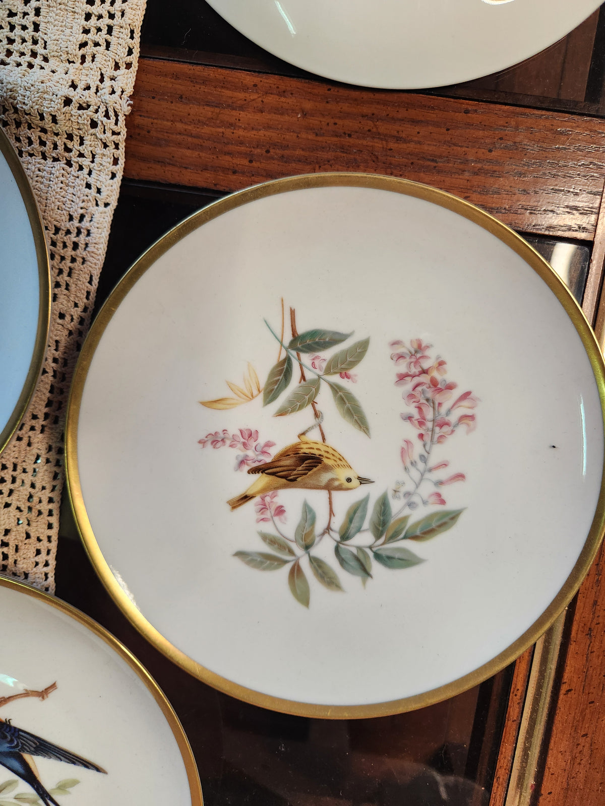 Vintage Hutschenreuther Pasco Germany Audubon Bird Plates