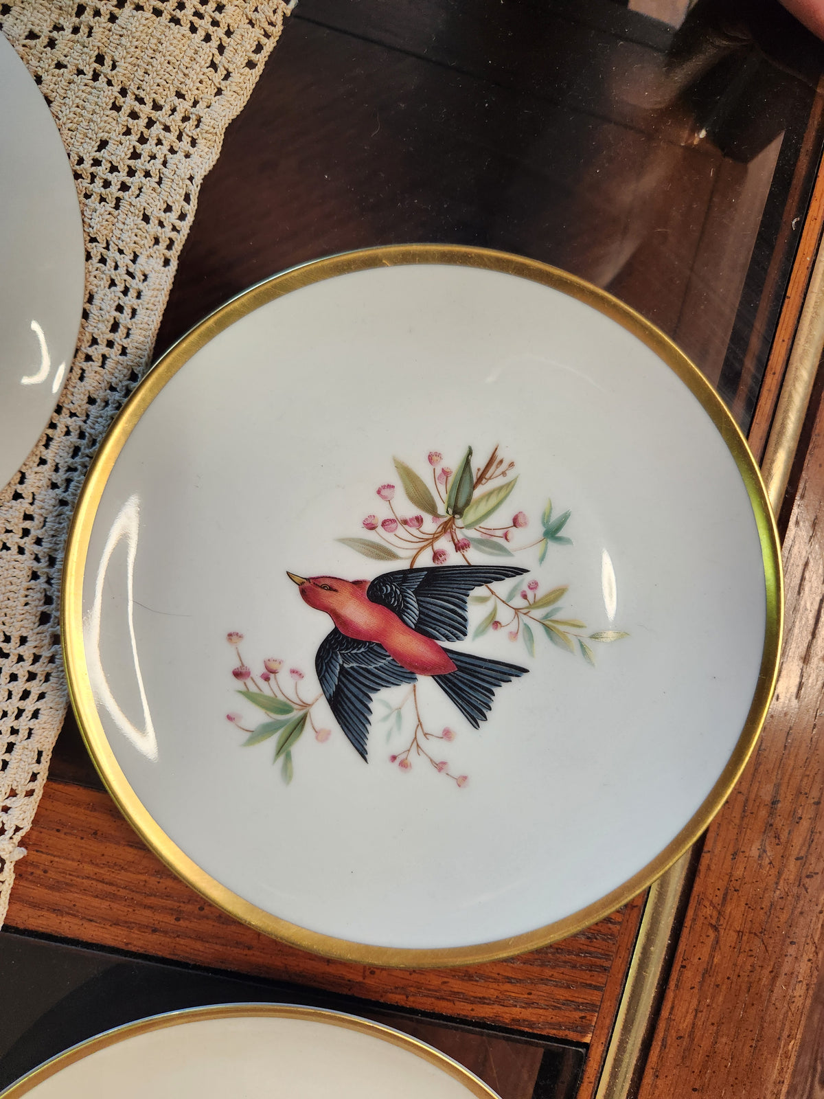 Vintage Hutschenreuther Pasco Germany Audubon Bird Plates