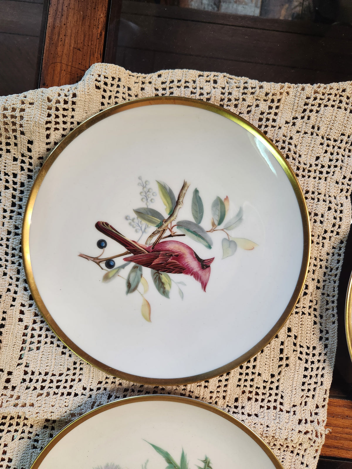 Vintage Hutschenreuther Pasco Germany Audubon Bird Plates